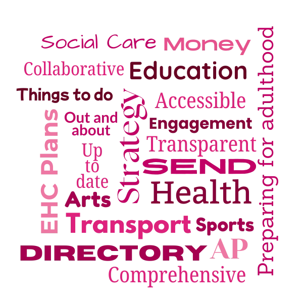 A word cloud of the topics a SEND local offer covers