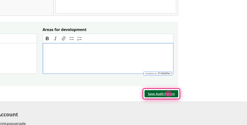 Screenshot of step 11, click on Save Audit Return