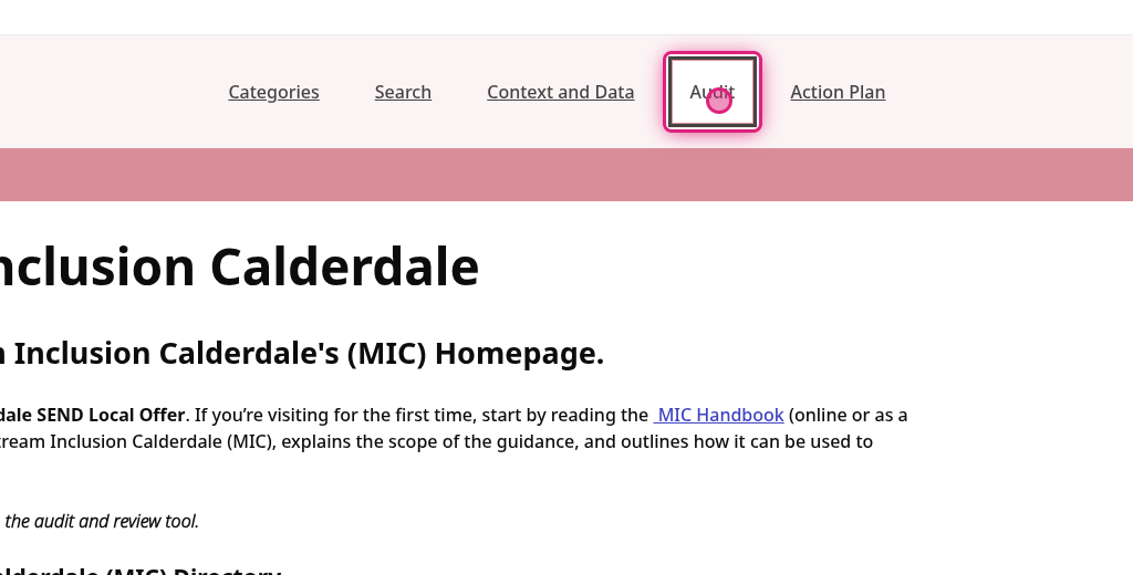 Screenshot of step 2, click on Audit