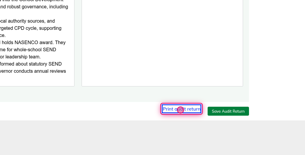 Screenshot of step 3, click on Print audit return